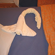 Picture 036